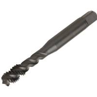 DORMER SPIRAL FLUTE TAP M3?ÃÂ??MTTX 0.50MM PITCH  E003M3?ÃÂ??ISO 529